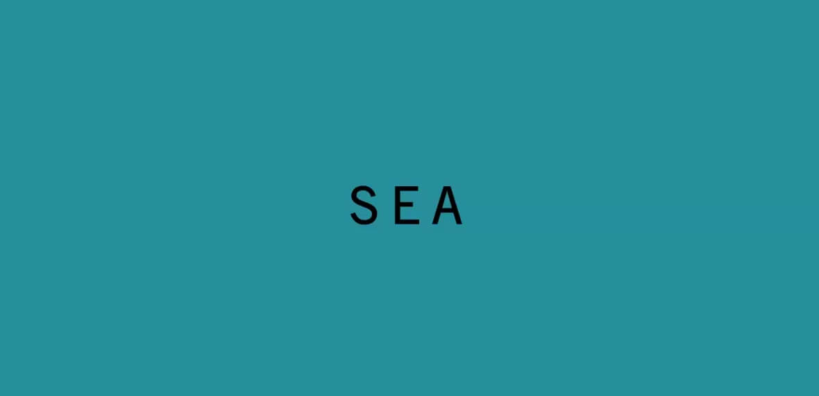 Very Sexy Sea
